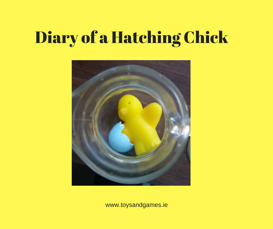 Diary of a Hatching Chick!