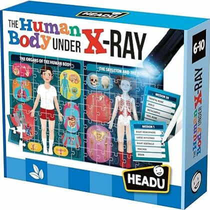 The Human Body Under X Ray Jigsaw by Headu